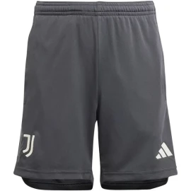 Juventus Third Football Shorts 23/24