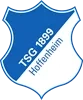 TSG Hoffenheim