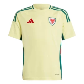 Wales Away Football Shirt 2024