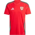 Wales Thuis Voetbalshirt 2024