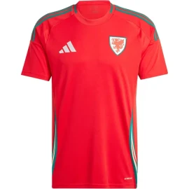 Wales Thuis Voetbalshirt 2024